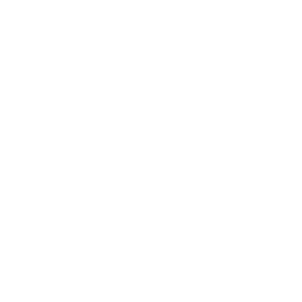 PFN Logo